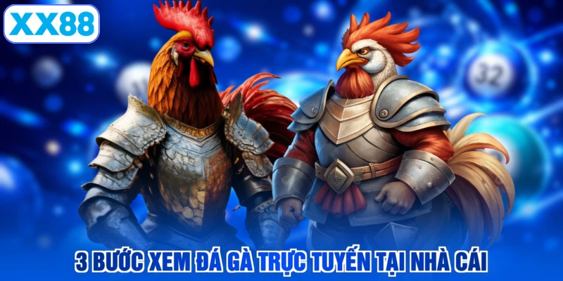 3 bước xem đá gà trực tuyến tại nhà cái