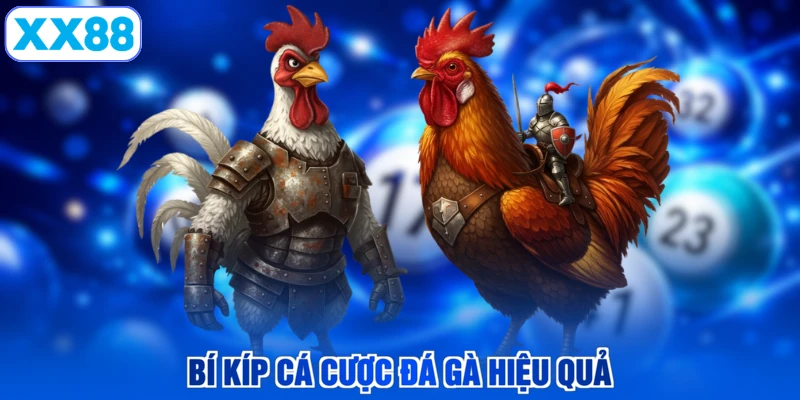 Bí kíp cá cược đá gà hiệu quả
