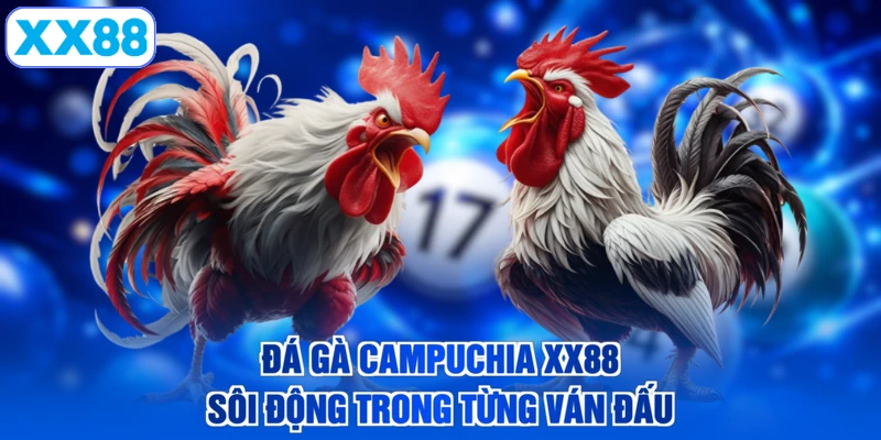 Đá Gà Campuchia XX88 - Sôi Động Trong Từng Ván Đấu