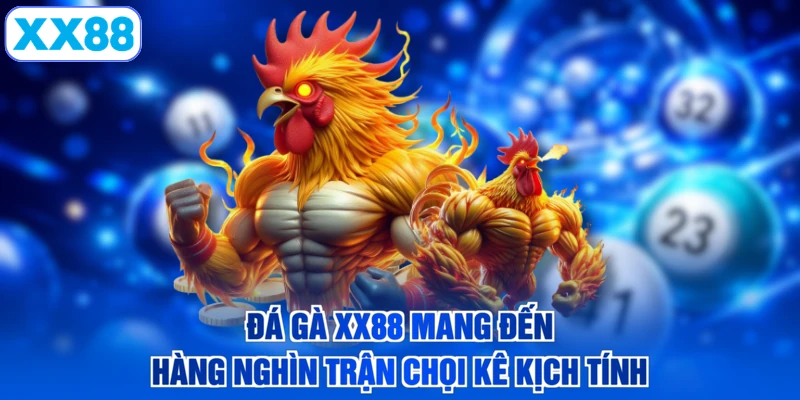 Đá gà XX88 mang đến hàng nghìn trận chọi kê kịch tính