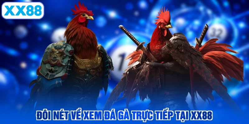 Đôi nét về xem đá gà trực tiếp tại XX88