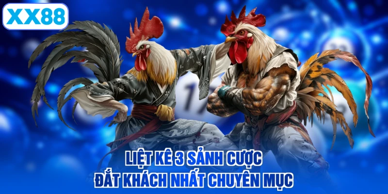 Liệt kê 3 sảnh cược đắt khách nhất chuyên mục