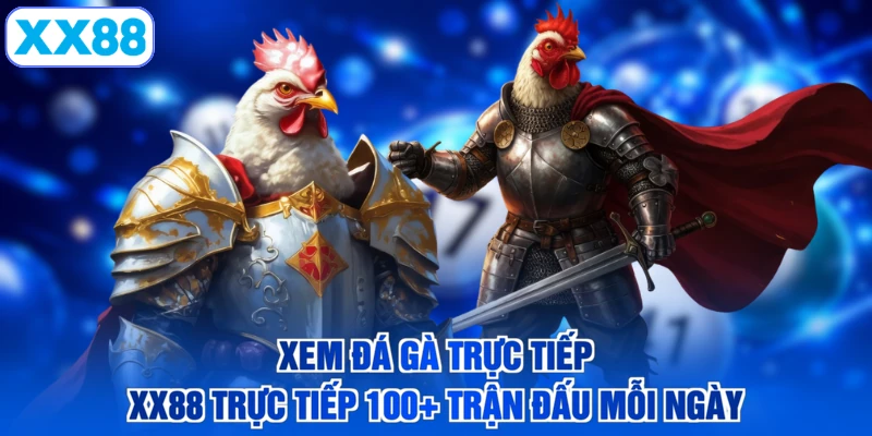 Xem Đá Gà Trực Tiếp - XX88 Trực Tiếp 100+ Trận Đấu Mỗi Ngày